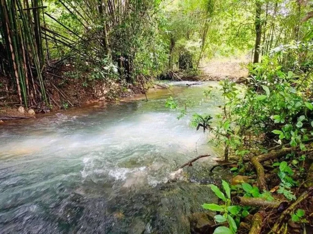 ที่สวนติดลำธารสาริกา นครนายกเดินทางสะดวก