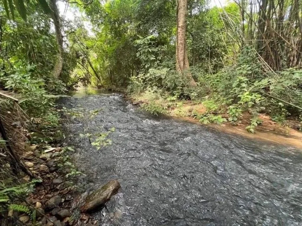 ที่สวนติดลำธารสาริกา นครนายกเดินทางสะดวก