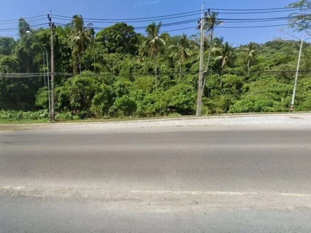 ที่ดินเปล่าขายถูกที่สุด ใกล้หาดป่าตอง ป่าตอง ภูเก็ต