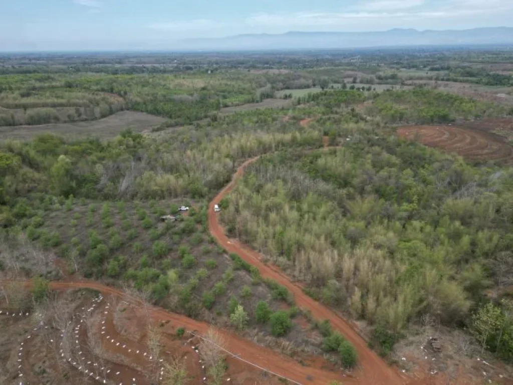 ขายที่ดินแบ่งจัดสรร เริ่ม250ตรว 105000บ ฟรีโอน สวนมะขาม