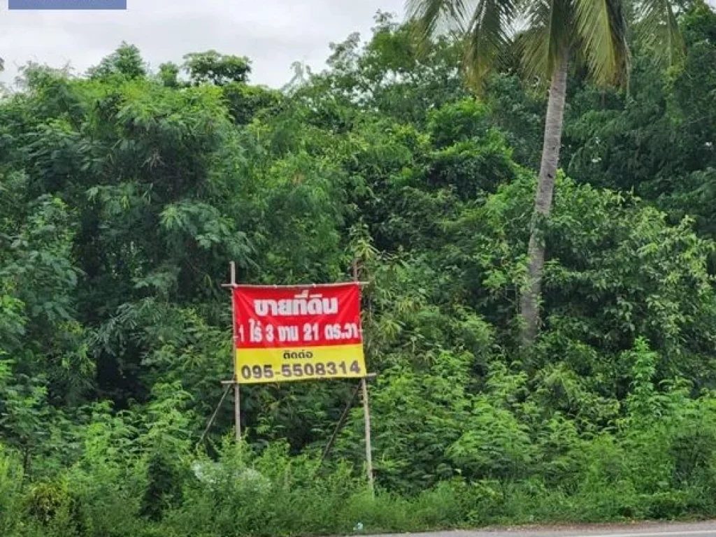 ขายที่ดินถูกมาก ติดถนนหลวงภาชี - ท่าเรือ 3470 ทำเลดีมาก