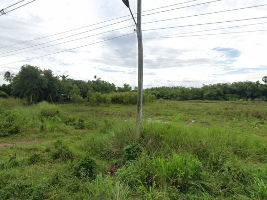 ขายที่ดินบ้านทามติดแม่น้ำบางปะกงแม่น้ำปราจีนเนื้อที่เกือบ3