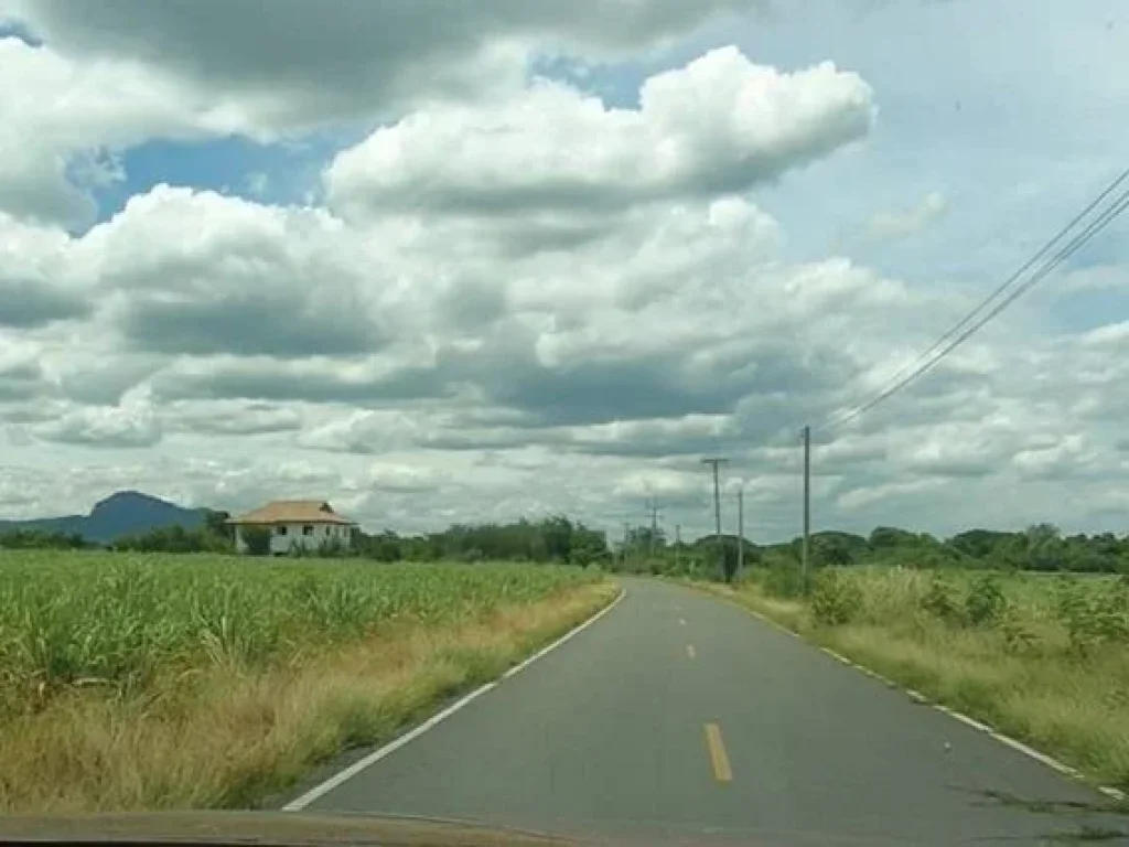 ขายที่ดิน 85 ไร่ ลำนารายณ์ อำเภอชัยบาดาล จังหวัดลพบุรี