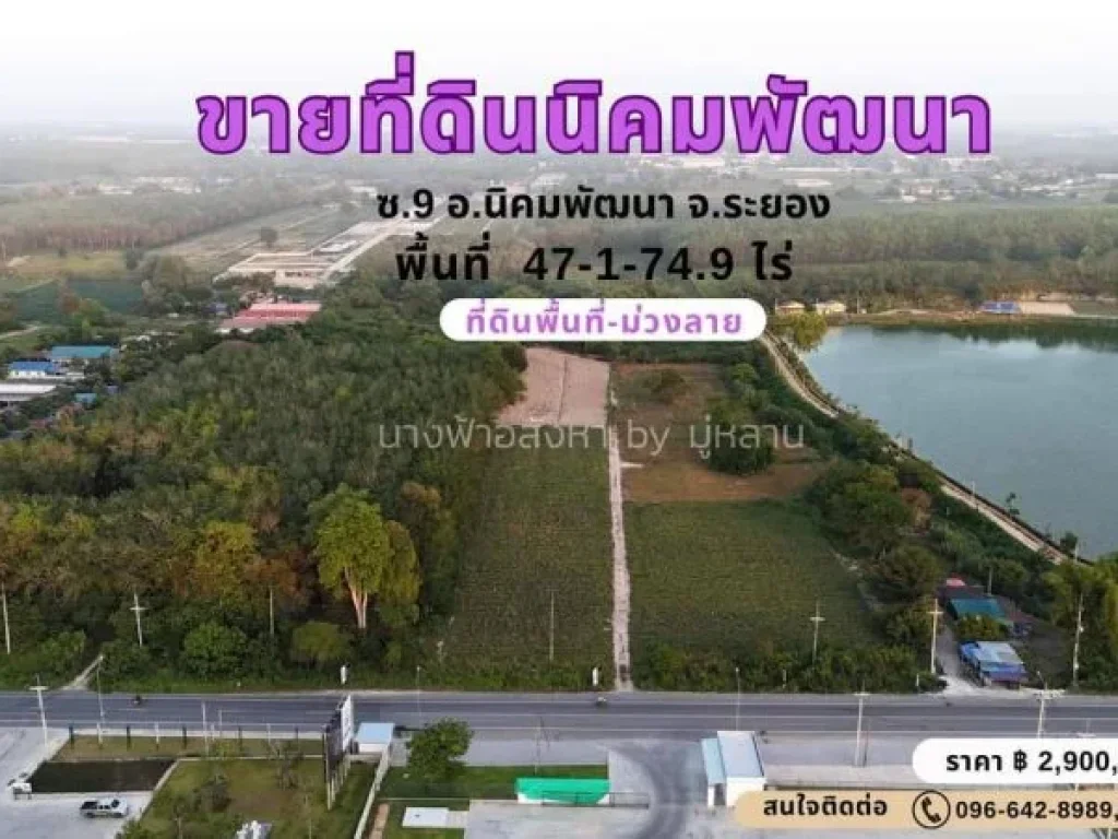 ขายที่ดิน ซอย 9 -นิคมพัฒนา-ระยอง ติดถนน พื้นที่ม่วงลาย