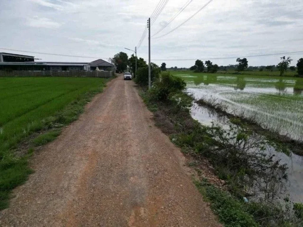 ขายที่ดินคลองแปดบึงชำอ้อ หนองเสือ ไฟฟ้า 3 เฟส ประปาพร้อม ขนาด