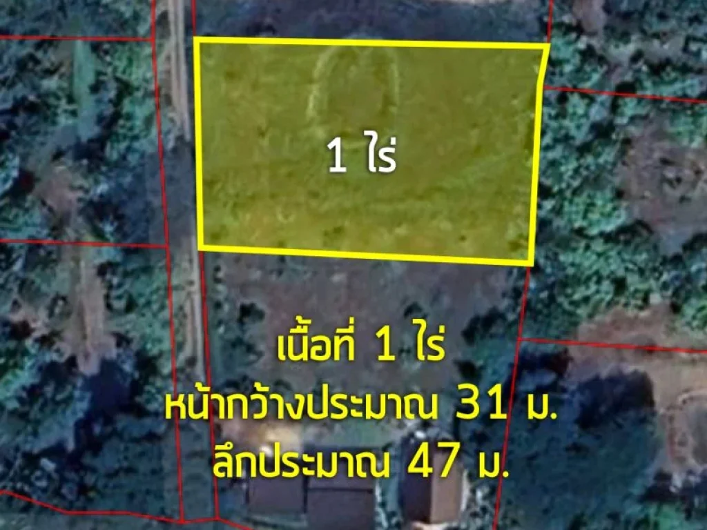 ขาย ที่ดิน 1 ไร่ ตเมืองงาย อเชียงดาว จเชียงใหม่