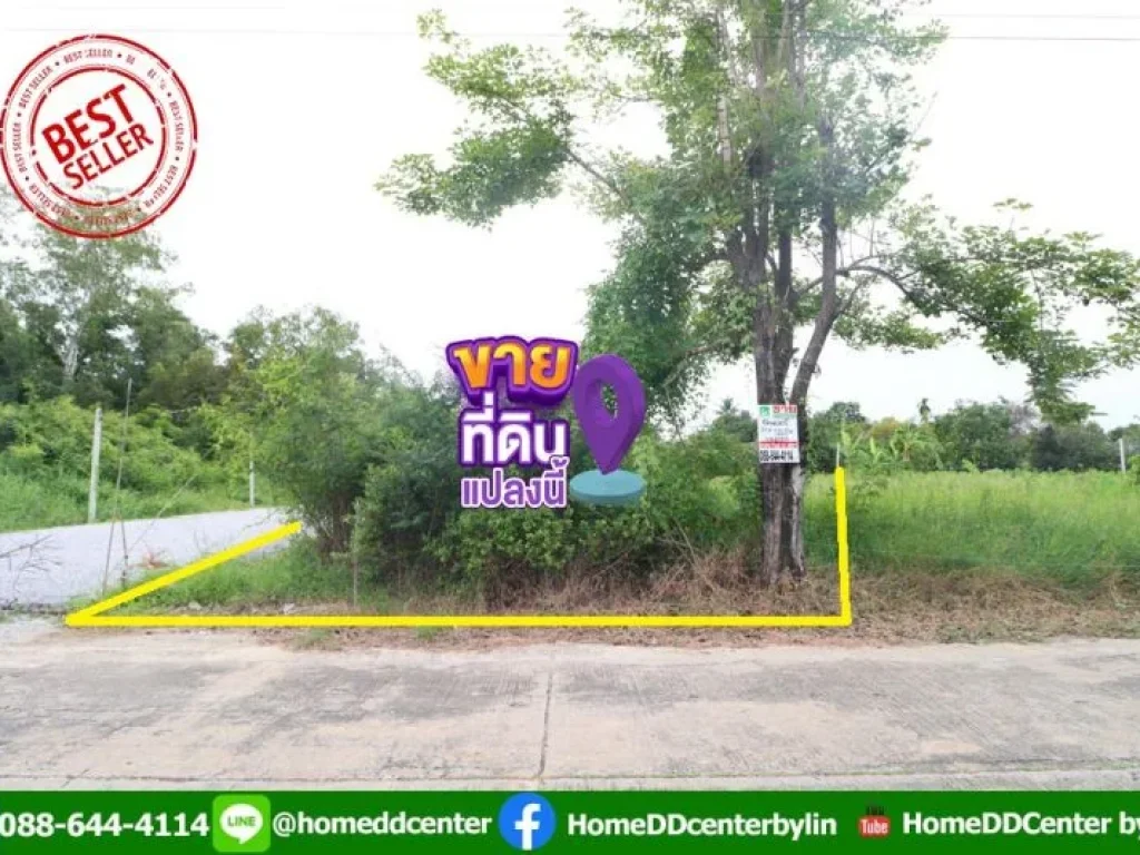 ขายที่ดิน 51 ตรว ถบรมราชชนนี สามพราน นครชัยศรี นครปฐม ใกล้