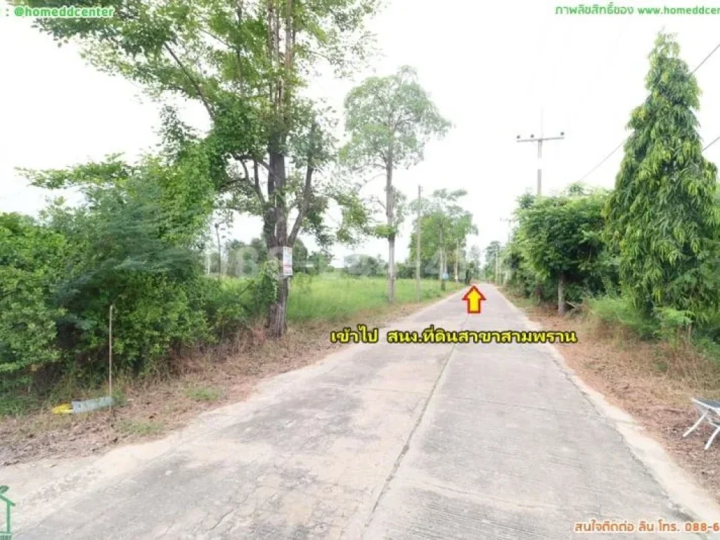 ขายที่ดิน 51 ตรว ถบรมราชชนนี สามพราน นครชัยศรี นครปฐม ใกล้