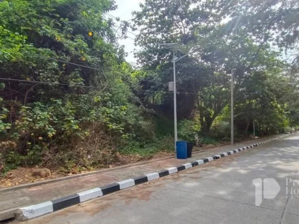 ขายที่ดินริมหาดพยูน อบ้านฉาง จระยอง ทำเลดีมาก ติดถนนทะเลเลย