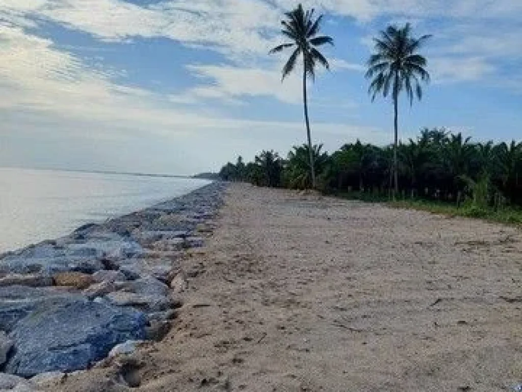 ขายที่ดินติดทะเลหาดทรายแก้ว ท่าศาลา จนครศรีฯ 12-1-27 ไร่