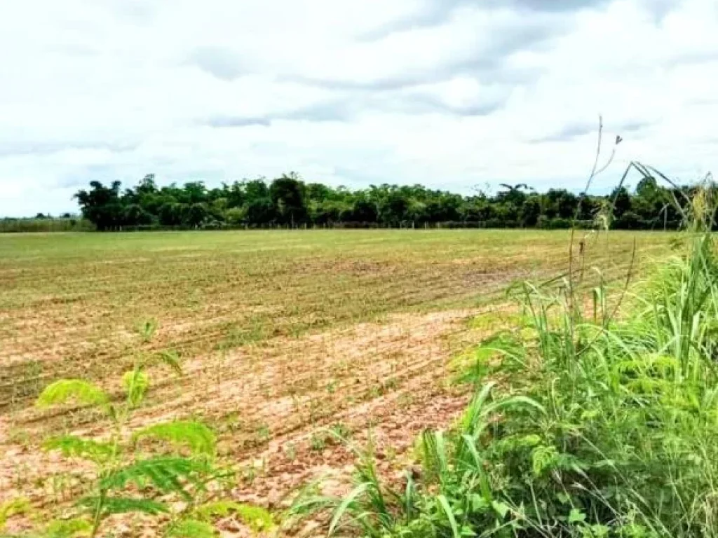 ที่ดินแปลงสวย ติดถนนลาดยาง มีไฟฟ้า อตรอน อุตรดิตถ์