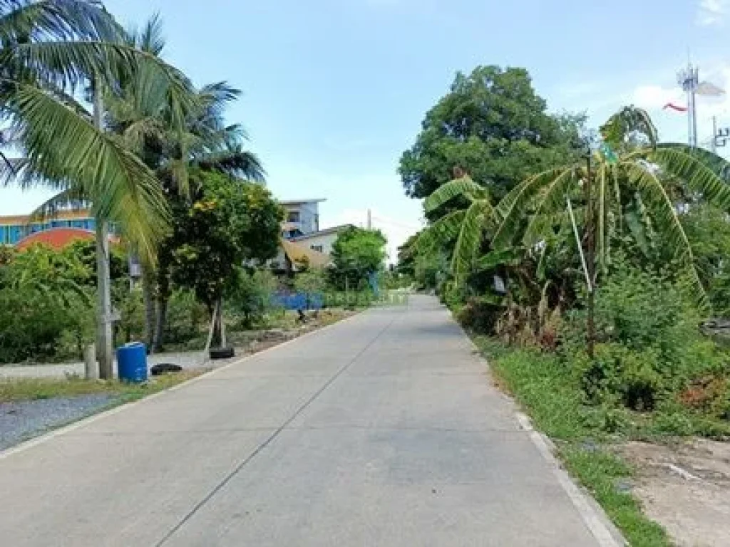 หมู่บ้านดินอุดม 1 บางบัวทอง นนทบุรี ขายด่วน ที่ดินเปล่า