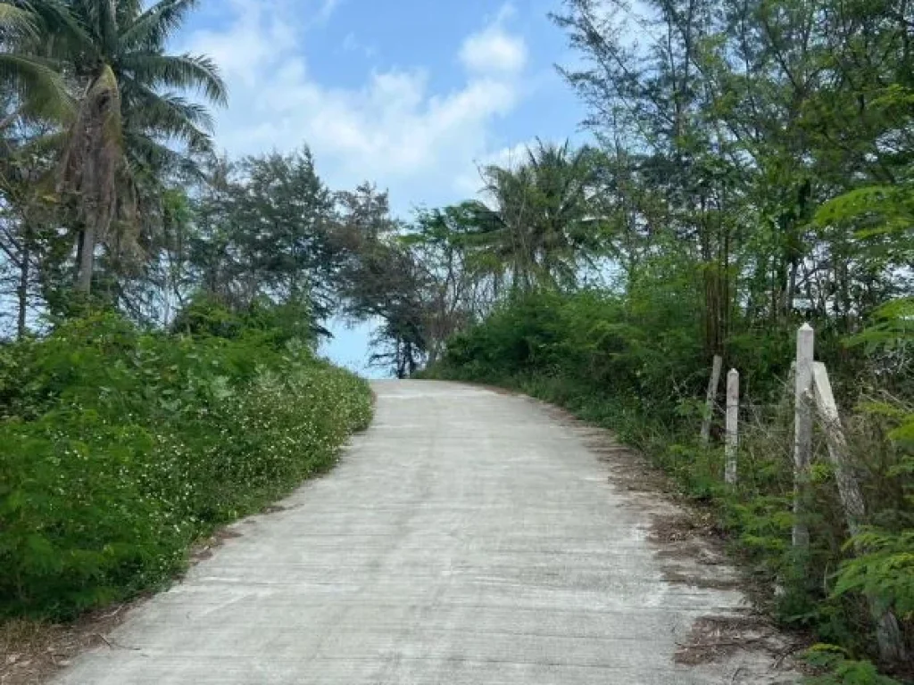 ขายที่ดินติดทะเล หาดทรายขาว บ้านกรูด จังหวัดประจวบคีรีขันธ์