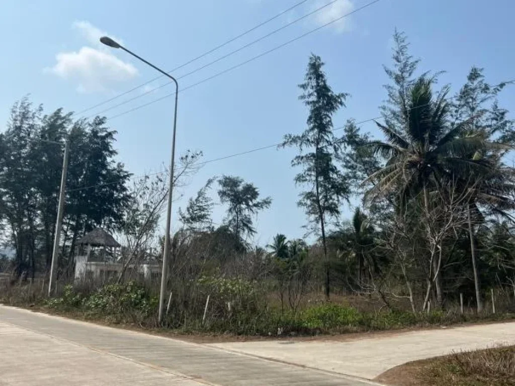 ขายที่ดินติดทะเล หาดทรายขาว บ้านกรูด จังหวัดประจวบคีรีขันธ์