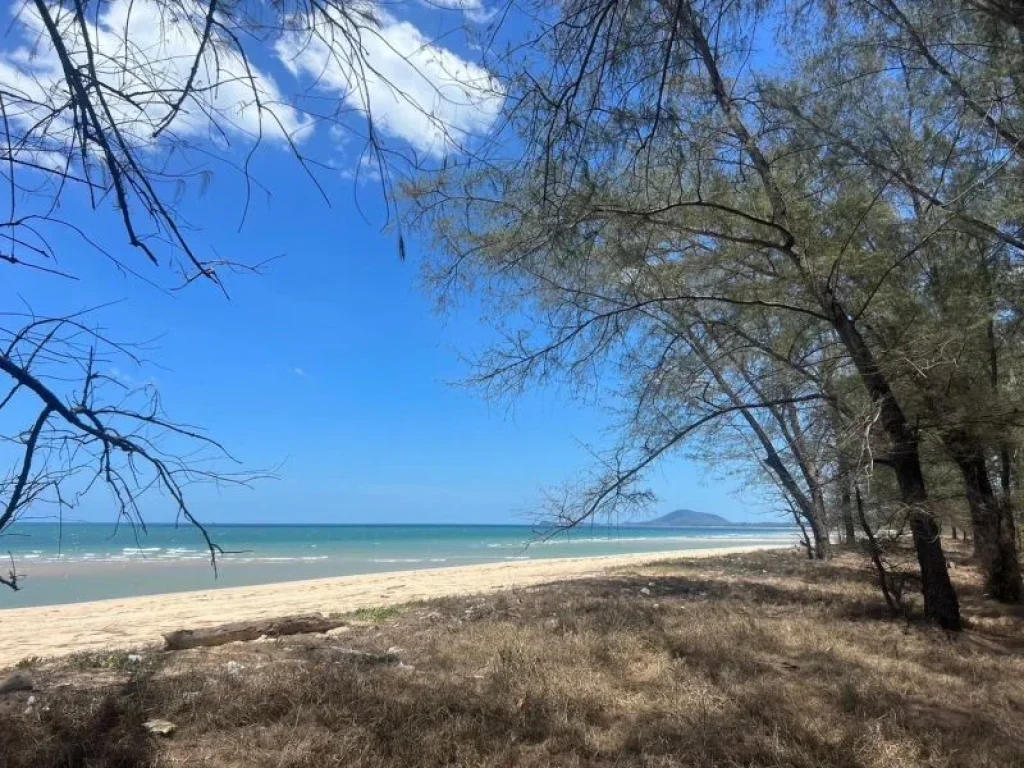 ขายที่ดินติดทะเล หาดทรายขาว บ้านกรูด จังหวัดประจวบคีรีขันธ์