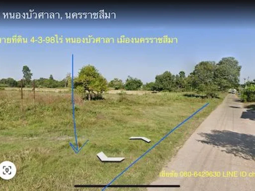 ขายที่ดินหนองบัวศาลา เนื้อที่ 4-3-98ไร่ ผังสีม่วงใกล้ถนนรา