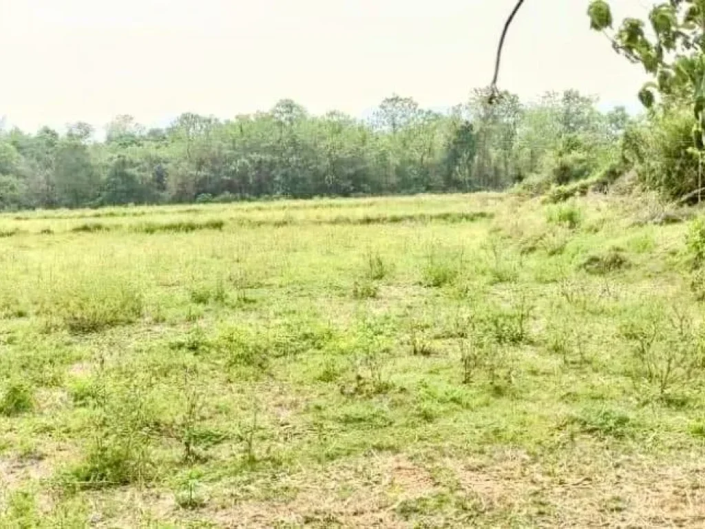 ที่ดินแปลงสวย ติดถนนสายหลัก อน้ำปาด อุตรดิตถ์