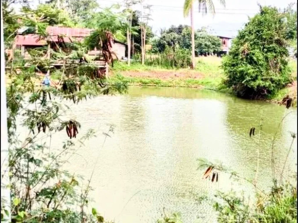 ที่ดินแปลงสวย ติดถนนสายหลัก อน้ำปาด อุตรดิตถ์