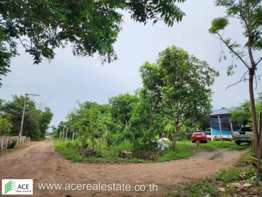 ที่ดินราคาถูก จปทุมฯ อหนองเสือ ตบึงกาสาม ขนาด 200 ตรว