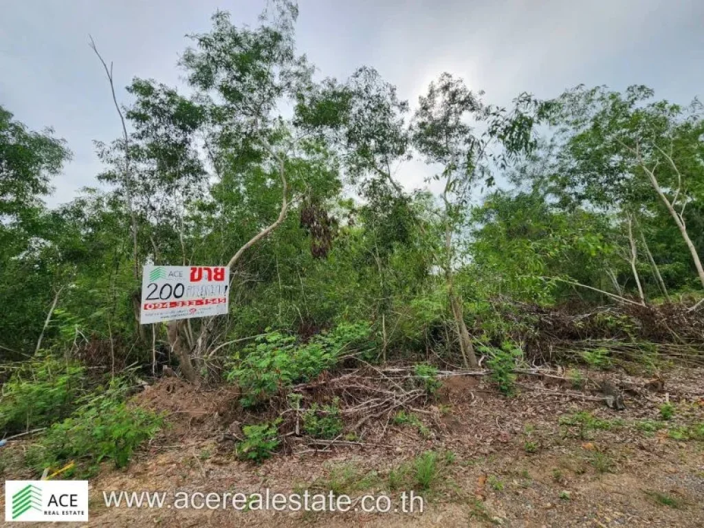 ที่ดินราคาถูก จปทุมฯ อหนองเสือ ตบึงกาสาม ขนาด 200 ตรว