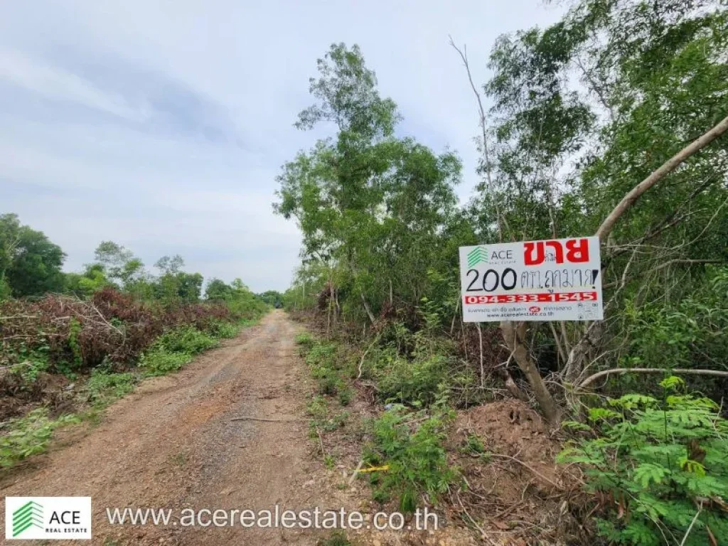 ที่ดินราคาถูก จปทุมฯ อหนองเสือ ตบึงกาสาม ขนาด 200 ตรว