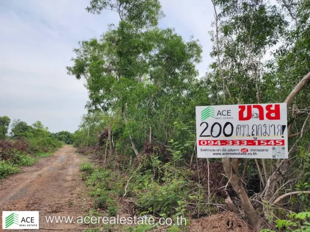 ที่ดินราคาถูก จปทุมฯ อหนองเสือ ตบึงกาสาม ขนาด 200 ตรว