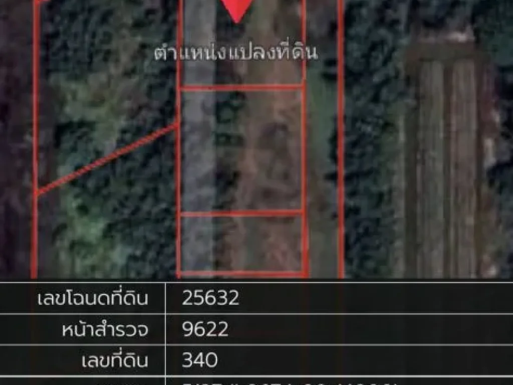 ที่ดินราคาถูก จปทุมฯ อหนองเสือ ตบึงกาสาม ขนาด 200 ตรว