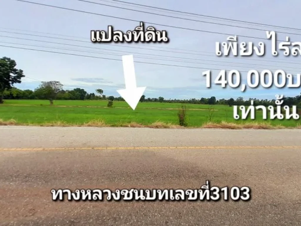 ที่ดินราคาดีกว่าใครในย่านนี้ติดถนนลาดยางไร่ละ140000