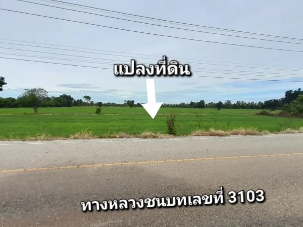 ที่ดินราคาดีกว่าใครในย่านนี้ติดถนนลาดยางไร่ละ140000