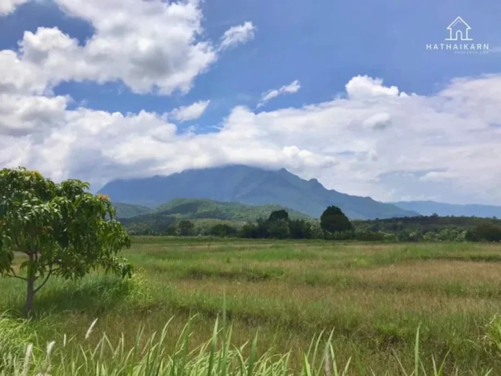 ขายที่ดินบ้านแม่นะเชียงดาววิวดอยหลวงโฉนดพร้อมโอน