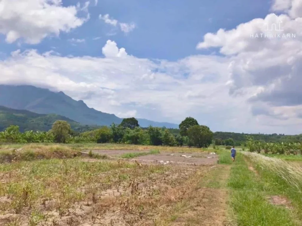 ขายที่ดินบ้านแม่นะเชียงดาววิวดอยหลวงโฉนดพร้อมโอน