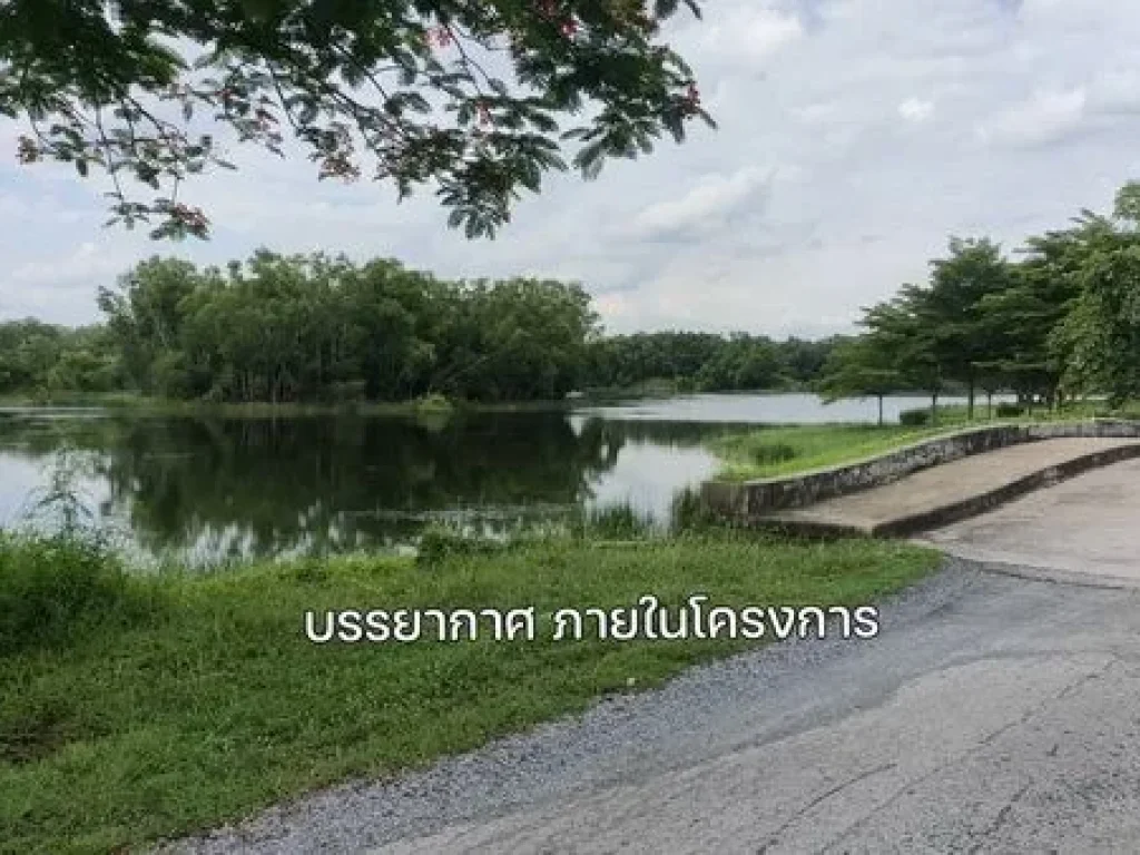 ขายที่ดิน โครงการคันทรีการ์เด้น คลองสาม ถเลียบคลองสาม-ปทุมธ