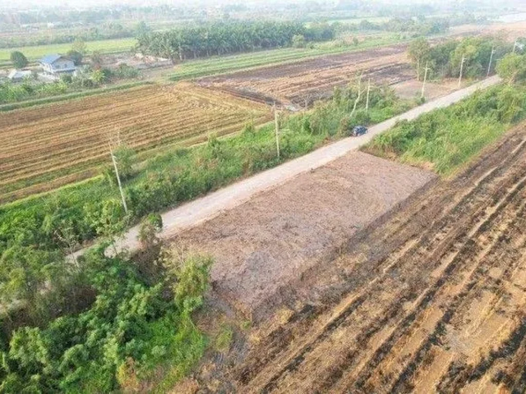 ขายที่ดินบึงบอน หนองเสือ ขนาด 60 ตรว น้ำและไฟมีพร้อม