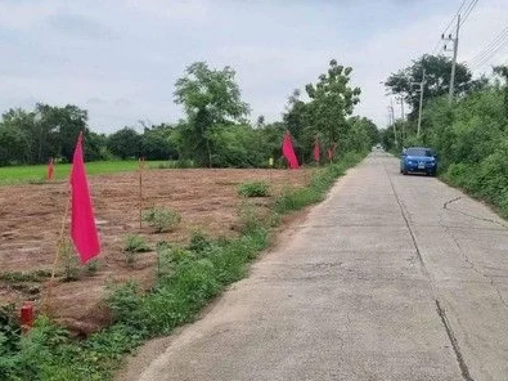 ขายที่ดินบึงบอน หนองเสือ ขนาด 60 ตรว น้ำและไฟมีพร้อม