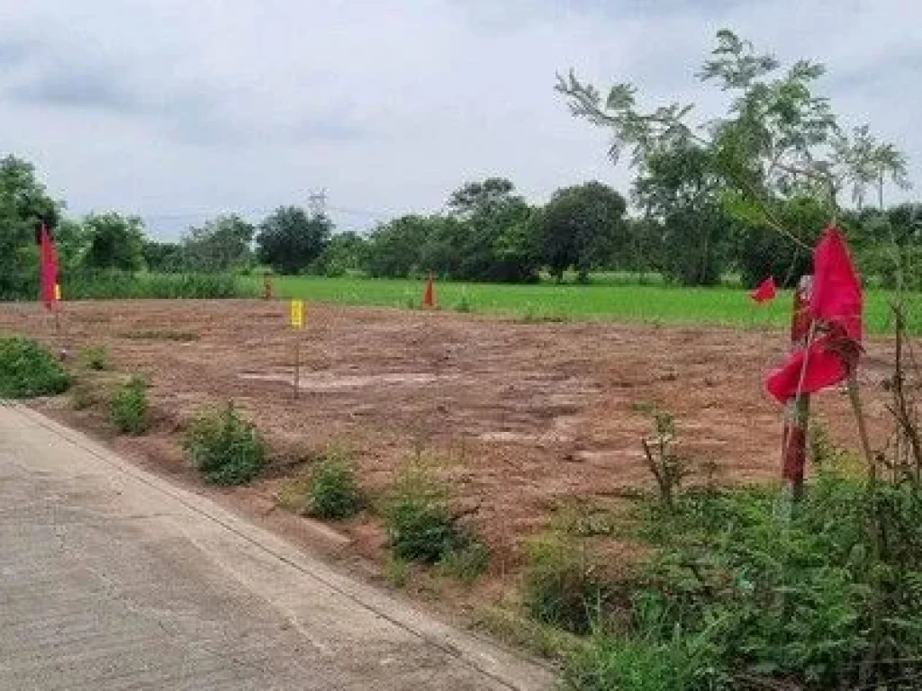 ขายที่ดินบึงบอน หนองเสือ ขนาด 60 ตรว น้ำและไฟมีพร้อม