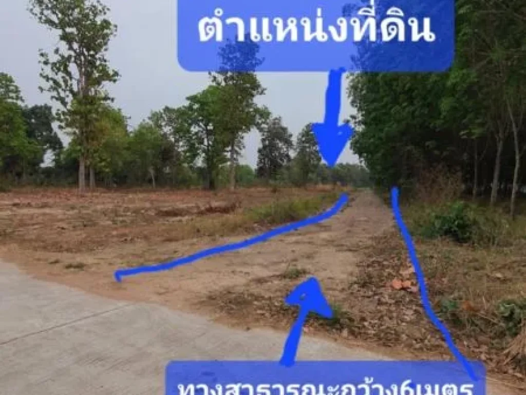 ขายที่ดินกาฬสินธุ์ อกุฉินารายณ์ โฉนด 5ไร่ ราคาแค่ 55แสนบาท