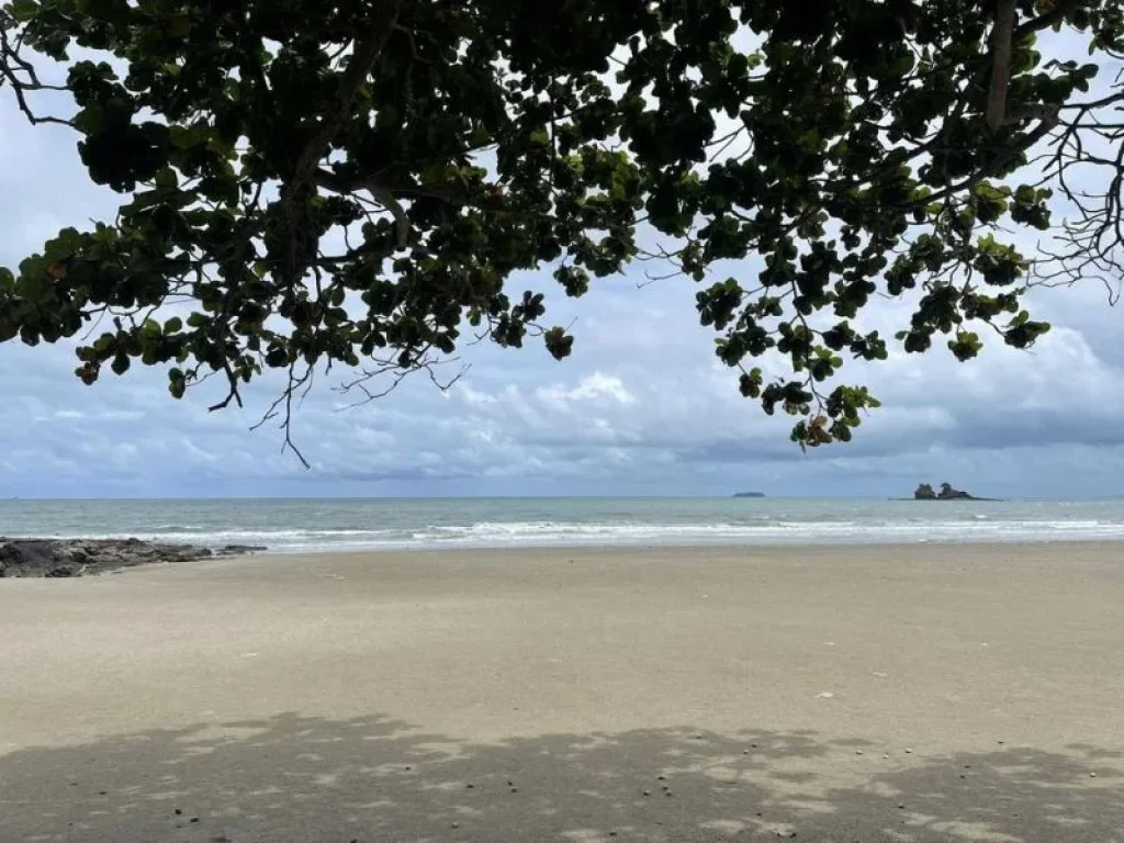 ขายที่ดินบ้านกร่ำเนื้อที่ 57 ตรว ติดหาดแหลมแม่พิมพ์เดินเพีย