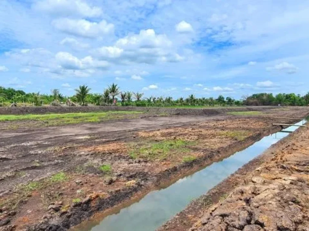 ขายที่ดิน 200 ตรว The lake view Nakhon Nayok ตท่าช้าง