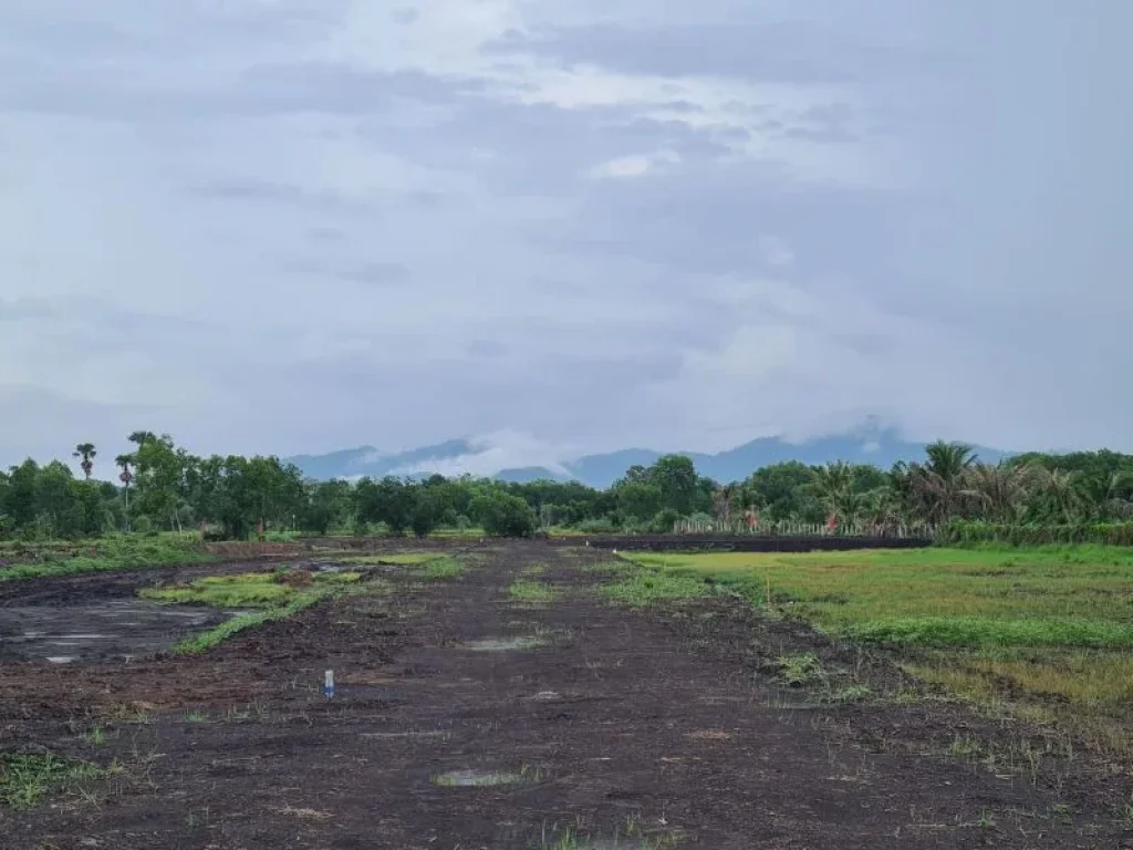 ขายที่ดิน 200 ตรว The lake view Nakhon Nayok ตท่าช้าง