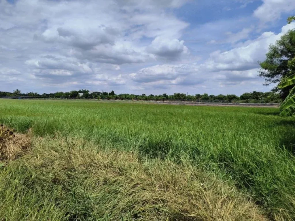 ที่ดินติดถนนเลียบคลองนราภิรมย์ อบางใหญ่ จนนทบุรี