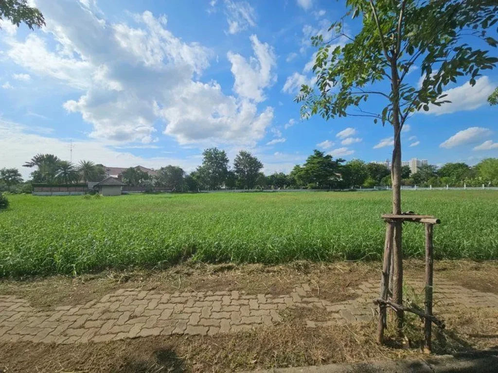 ขาย ที่ดินเปล่าในโครงการ หมู่บ้านคฤหาสน์ทายาท ถนนติวานนท์