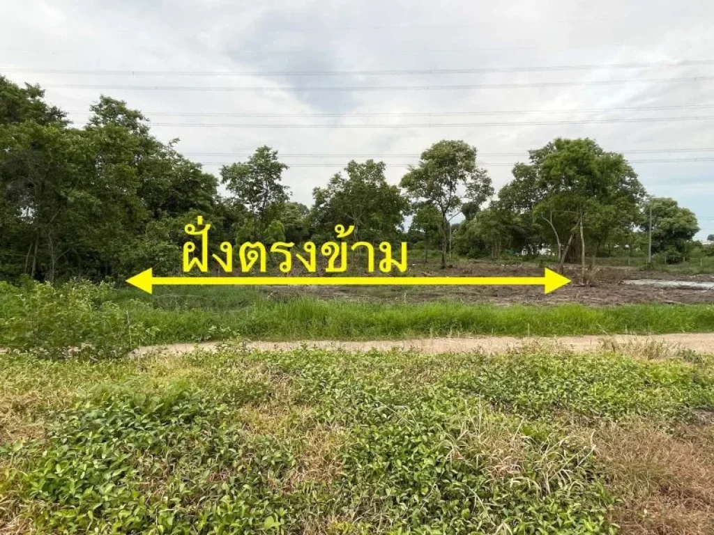 ขายถูก ที่ดินติดคลอง ซอยติวานนท์-ปากเกร็ด 56 ซพระแม่การุณย์