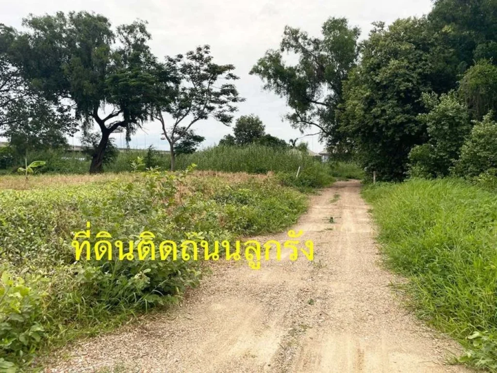 ขายถูก ที่ดินติดคลอง ซอยติวานนท์-ปากเกร็ด 56 ซพระแม่การุณย์