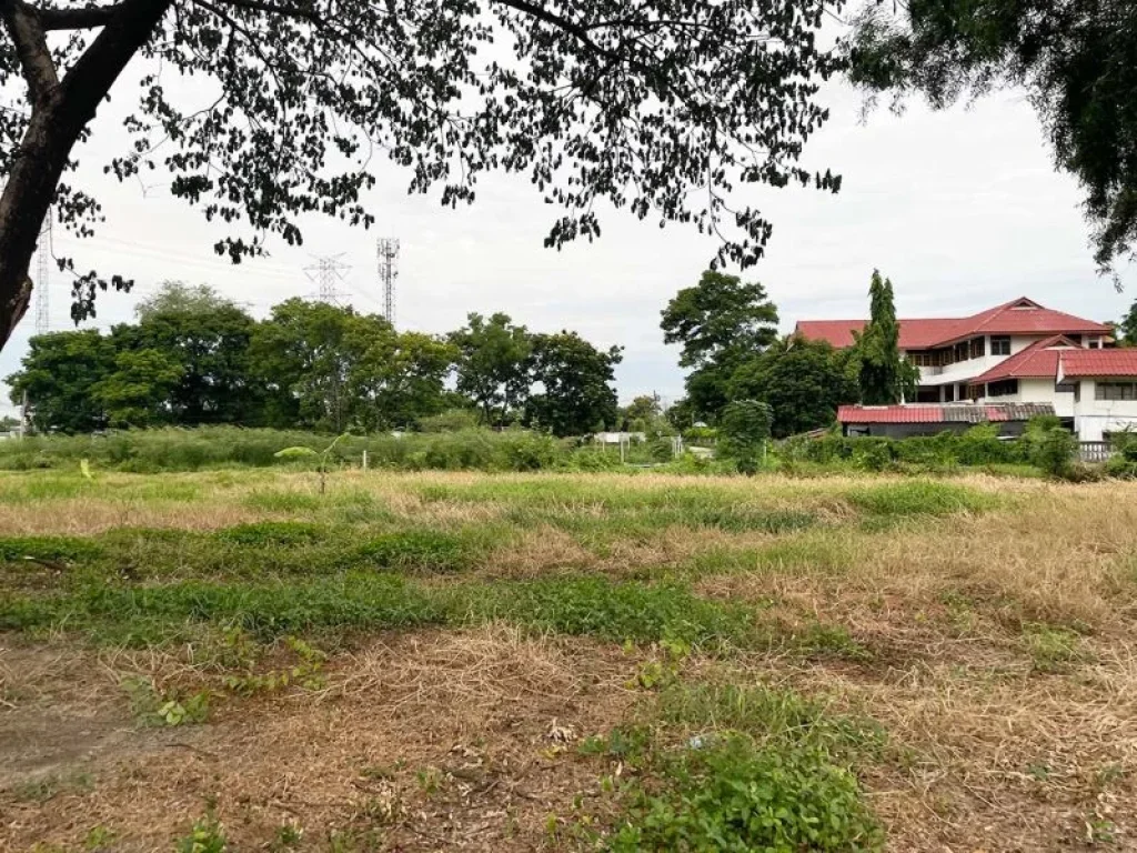 ขายถูก ที่ดินติดคลอง ซอยติวานนท์-ปากเกร็ด 56 ซพระแม่การุณย์