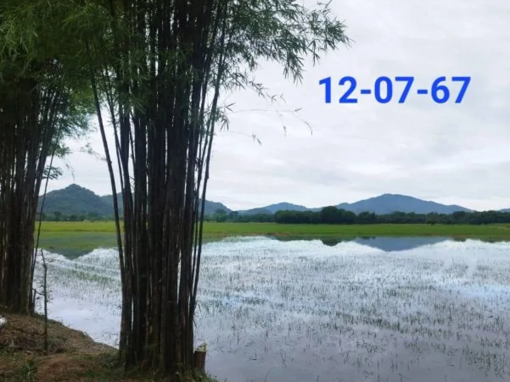 ที่ดินสวยใกล้แหล่งท่องเที่ยวนครนายก 1475 ไร่