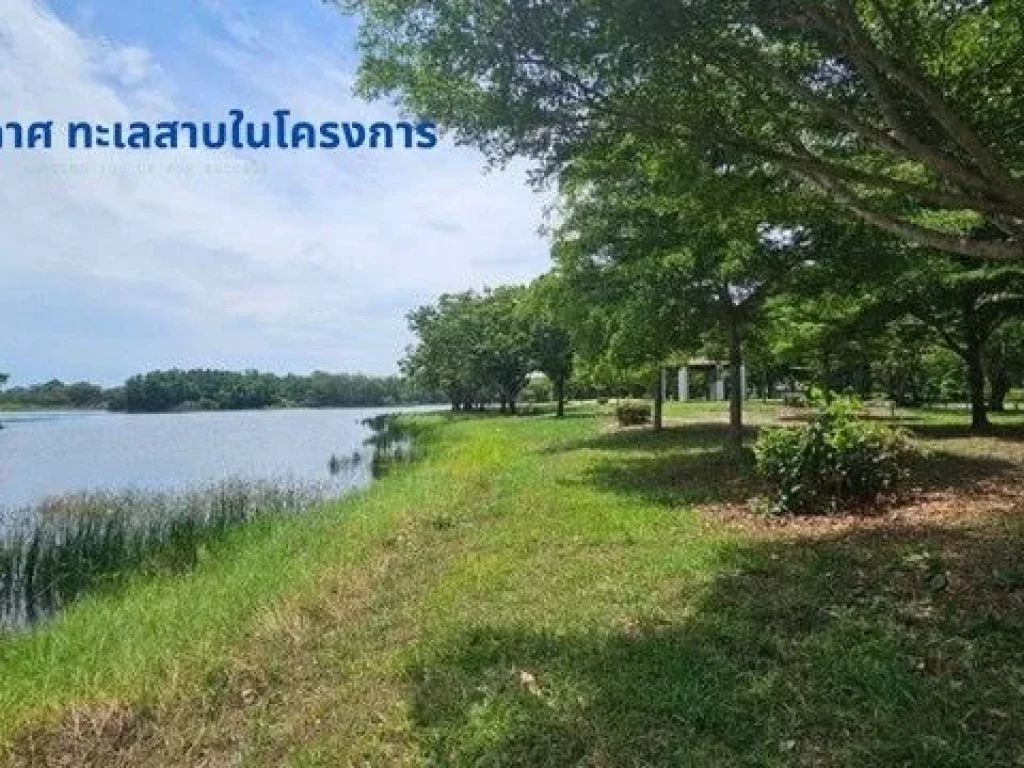 ขายที่ดินถมแล้ว 2-0-10 ไร่ ด้านหลังแปลงติดวิวน้ำสวยโครงการคั