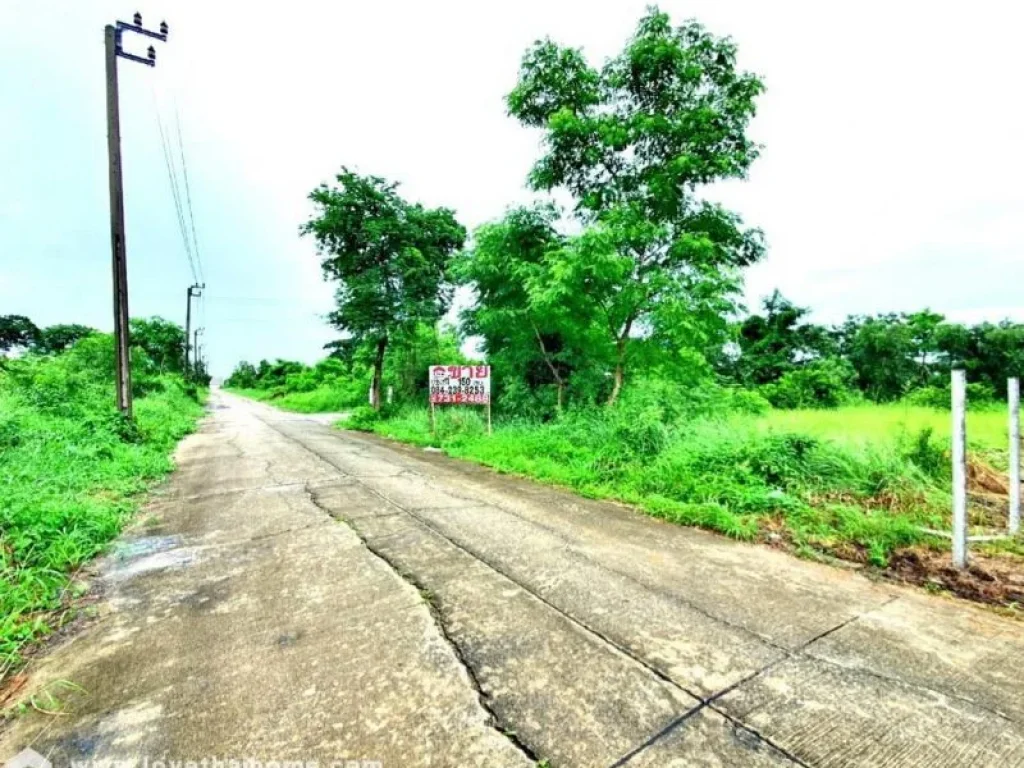 ขายที่ดิน ซอยลำลูกกา 196 ถนนประชาสำราญ หนองจอก แปลงมุม 150