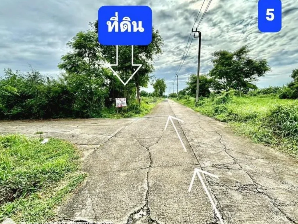 ขายที่ดิน ซอยลำลูกกา 196 ถนนประชาสำราญ หนองจอก แปลงมุม 150