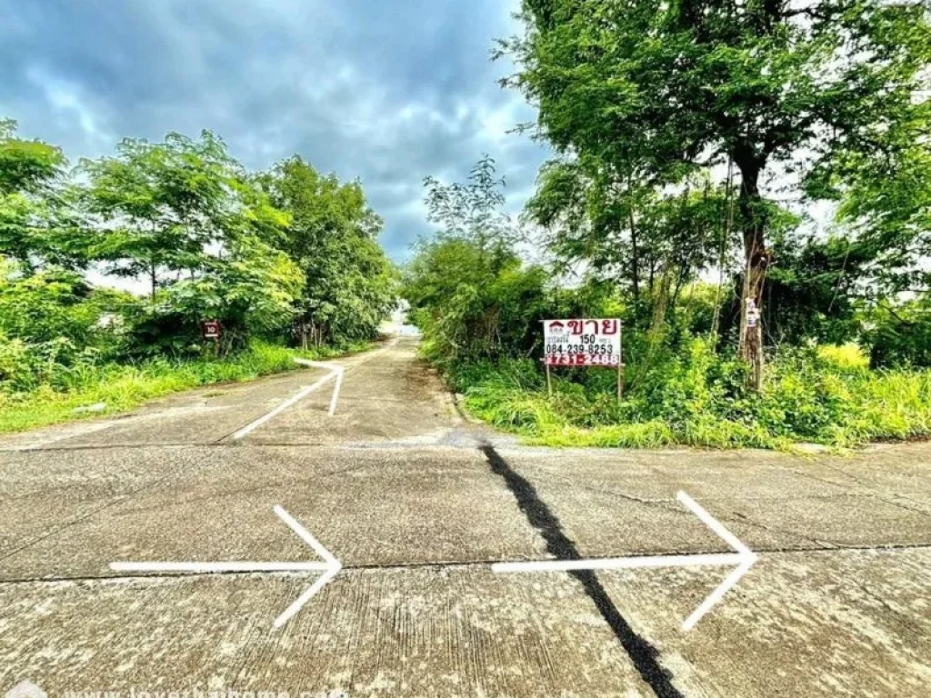 ขายที่ดิน ซอยลำลูกกา 196 ถนนประชาสำราญ หนองจอก แปลงมุม 150