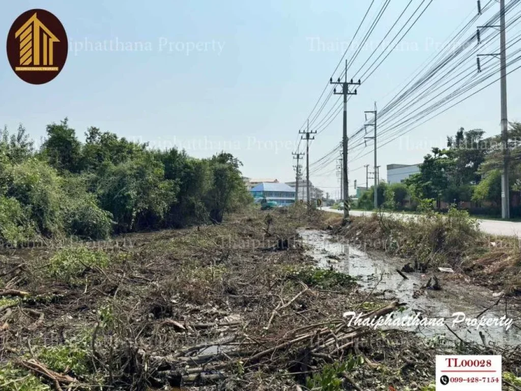 ขายที่ดินเปล่า 11-3-18 ไร่ ถนนพันท้ายนรสิงห์ เมืองสมุทรสาคร